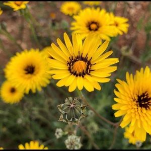 Meet your Posher, Jen